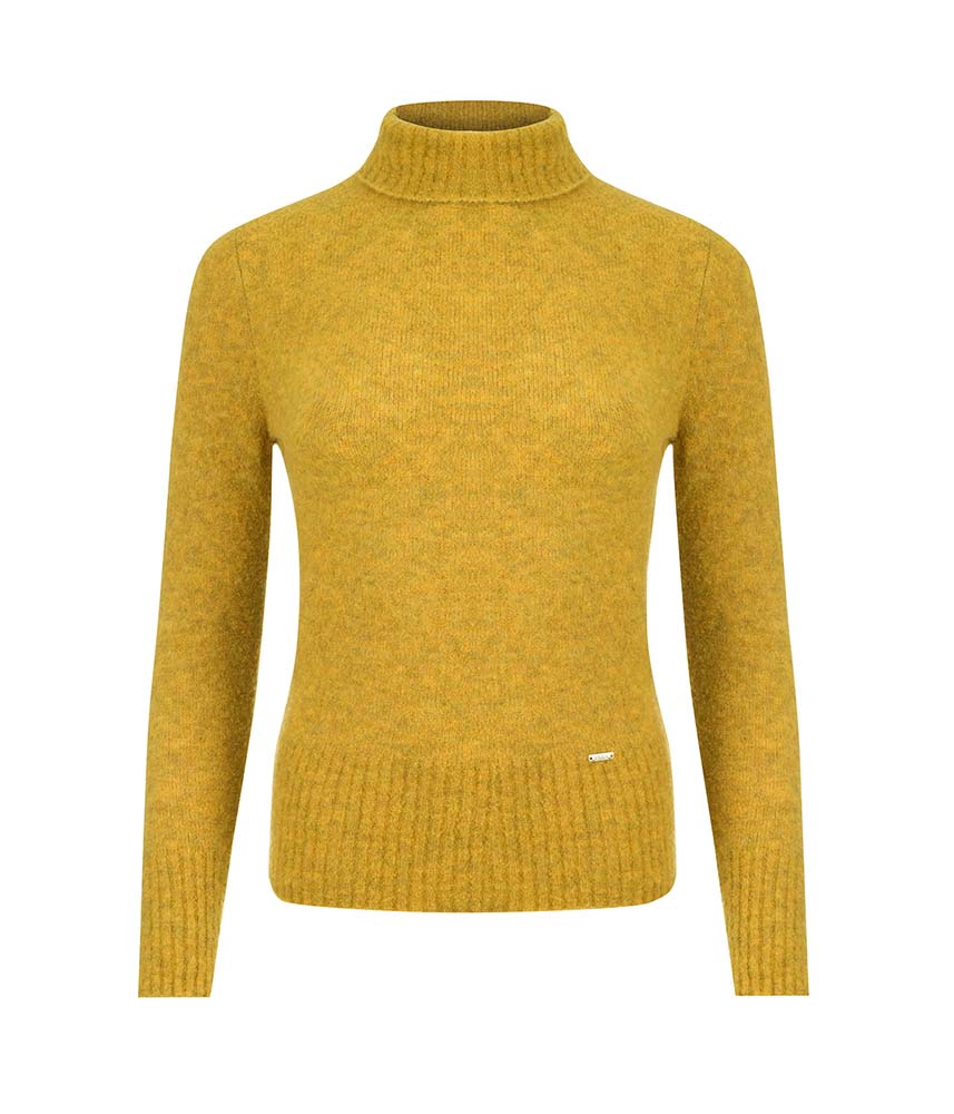 Turtleneck with virgin wool | Knitwear
