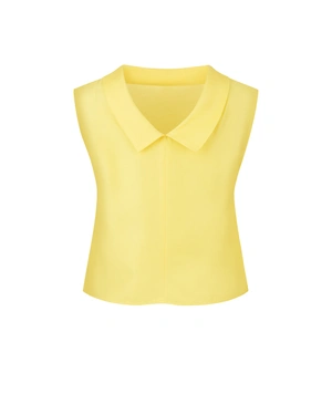 Минималистичен жълт топ от вискоза и район със заоблена обърната яка | Бизнес | Dika.bg - 1 Минималистичен жълт топ от вискоза и район със заоблена обърната яка | Бизнес - 1